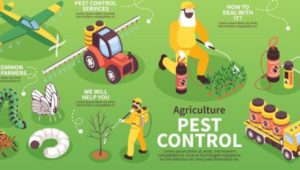 Metode tangani hama tanaman